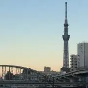 さわの画像