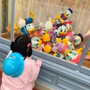 らぴすの画像