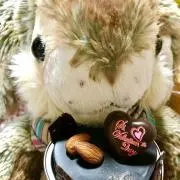 hope-yopiの画像