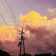 あずきの画像
