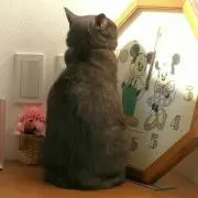 うにゃにゃん　プロフ読んでくださいね。