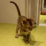 ひぃたんmama♡