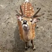 もなみの画像