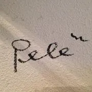 ペレの画像