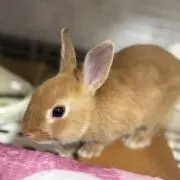 ♡OMI♡の画像