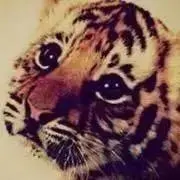 Ruraruriの画像