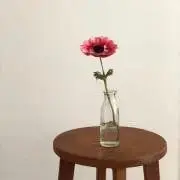 omの画像