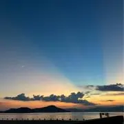 ricocoの画像