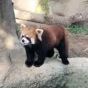 きよ