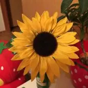 ひまわり
