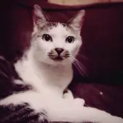 reeの画像