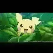 ちゃちゃまる♡の画像