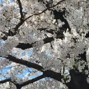 タマゴの画像