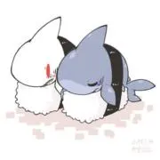 サメ