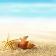 なんでもや！の画像
