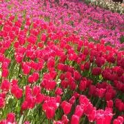 なこの画像