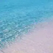 ちゃっぴーの画像