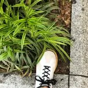 minFeの画像