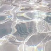 ponの画像