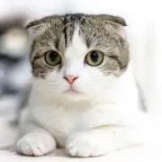 断捨Reの画像
