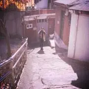ほたての画像