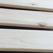 木々