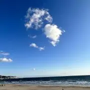ともくんの画像