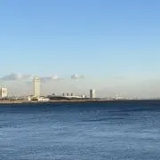 marine_1416の画像