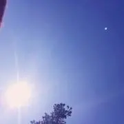 pon