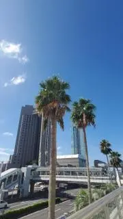 10”ナンバーセット 熊谷・群馬 抹消穴開け済みナンバープレート 