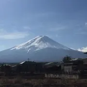 ワリの画像