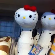 むーとんの画像