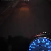みの画像