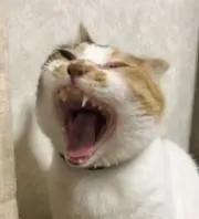 っぺ
