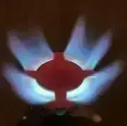 ベリーの画像