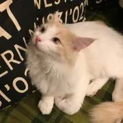 takeの画像