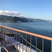 ヒカパパ