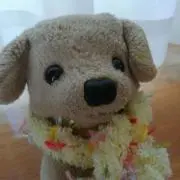 ラルちゃんの画像