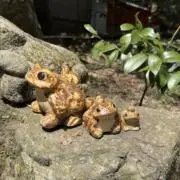 かえる。の画像