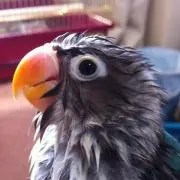 takaの画像