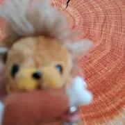 こここ　プロフィール必読の画像