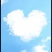 きのこ