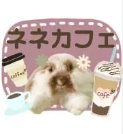 ネネちゃんの母の画像