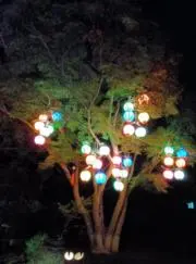 ラリルレオ