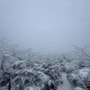 LIECA M6 （1996年製〜） brighting star レンズセット - メルカリ