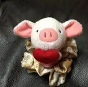 みじんこの画像