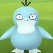 ソラシドの画像
