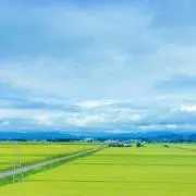 韓の画像