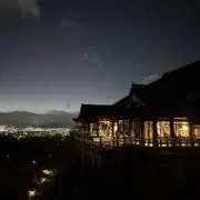 YN0508の画像