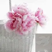 Lee